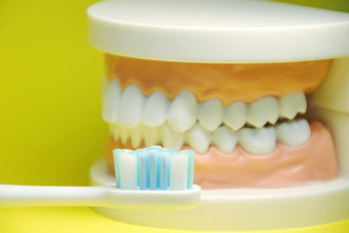 你所謂的刷牙可能是在鋸牙，南卡shiny助你高效正確清潔牙齒