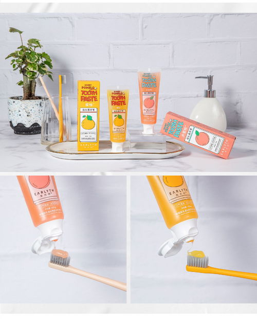 美術師益生菌馬卡龍牙膏 一支兼顧美學、健康與全家的口腔護理新選